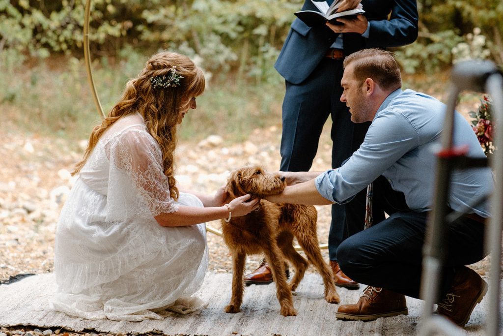 Dog as ring bearer for elopement wedding ceremony