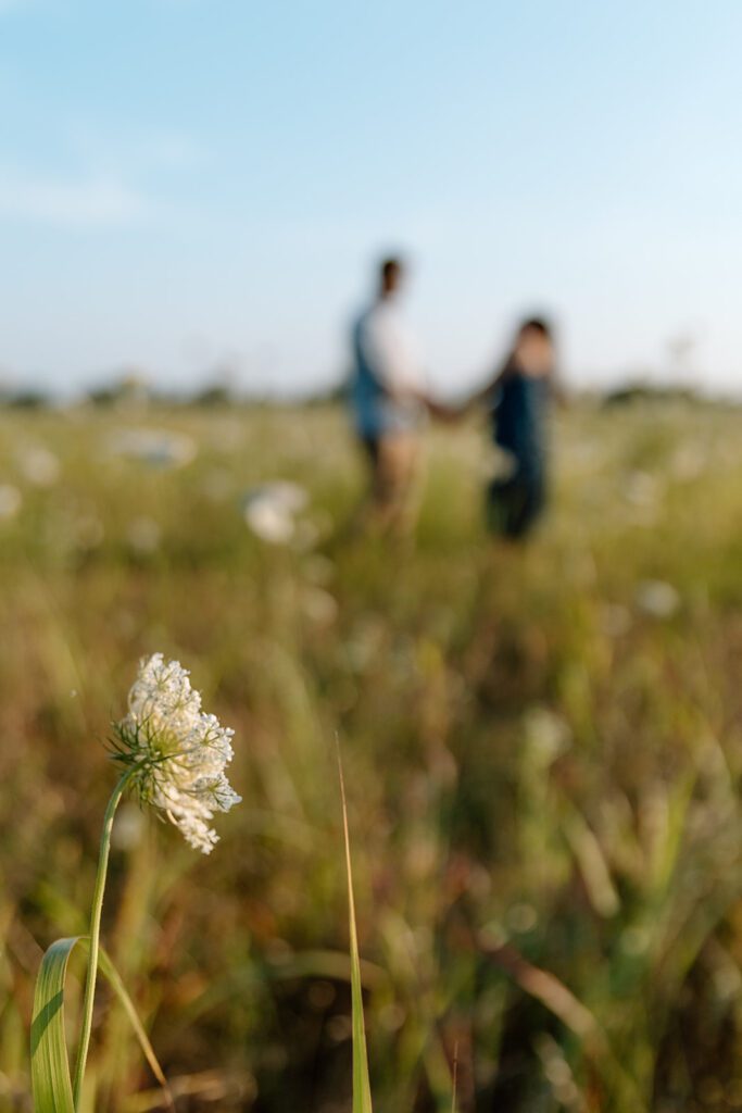 wildflower shot with couple in the distance 