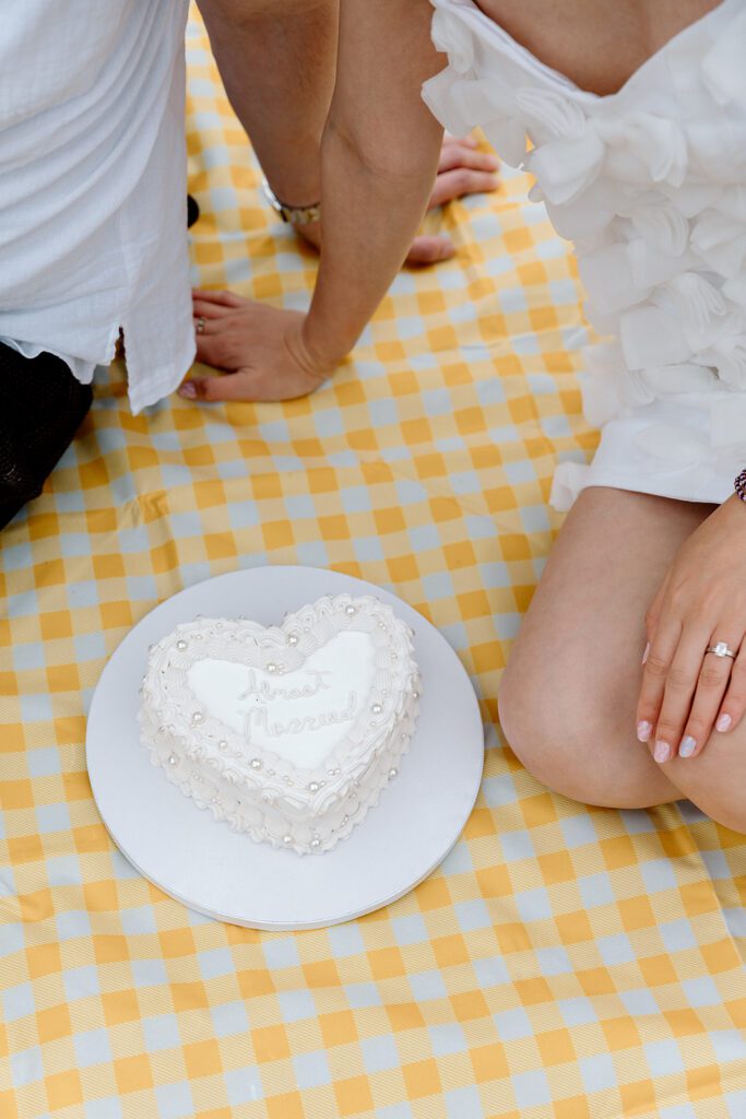 elopement picnic with just married cake with yellow gingham blanket PNW Olympic National Park 