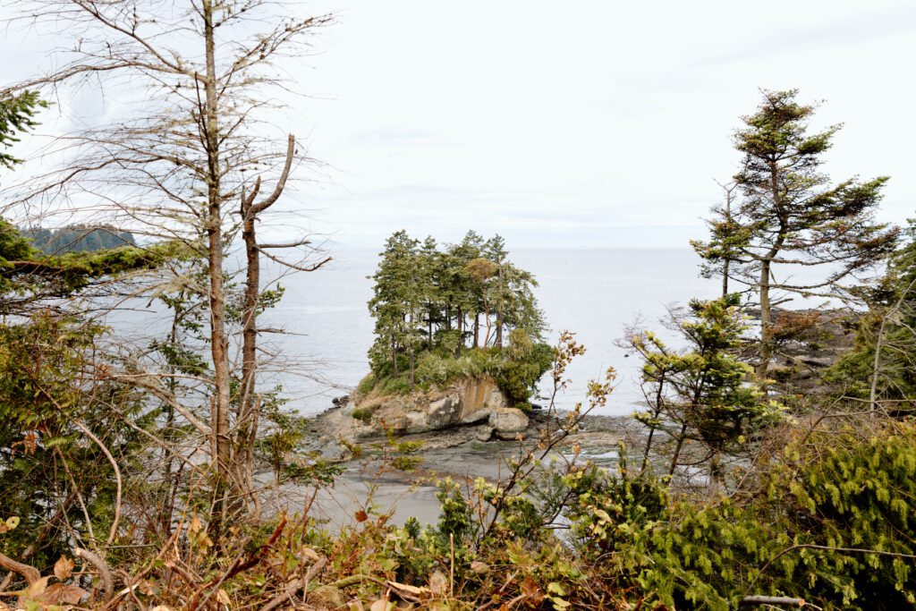 washingtion coast PNW Olympic national park 