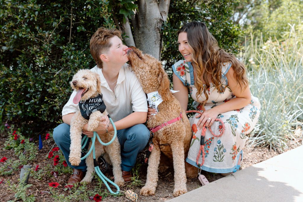 couple with 2 dogs while dog licks her face 