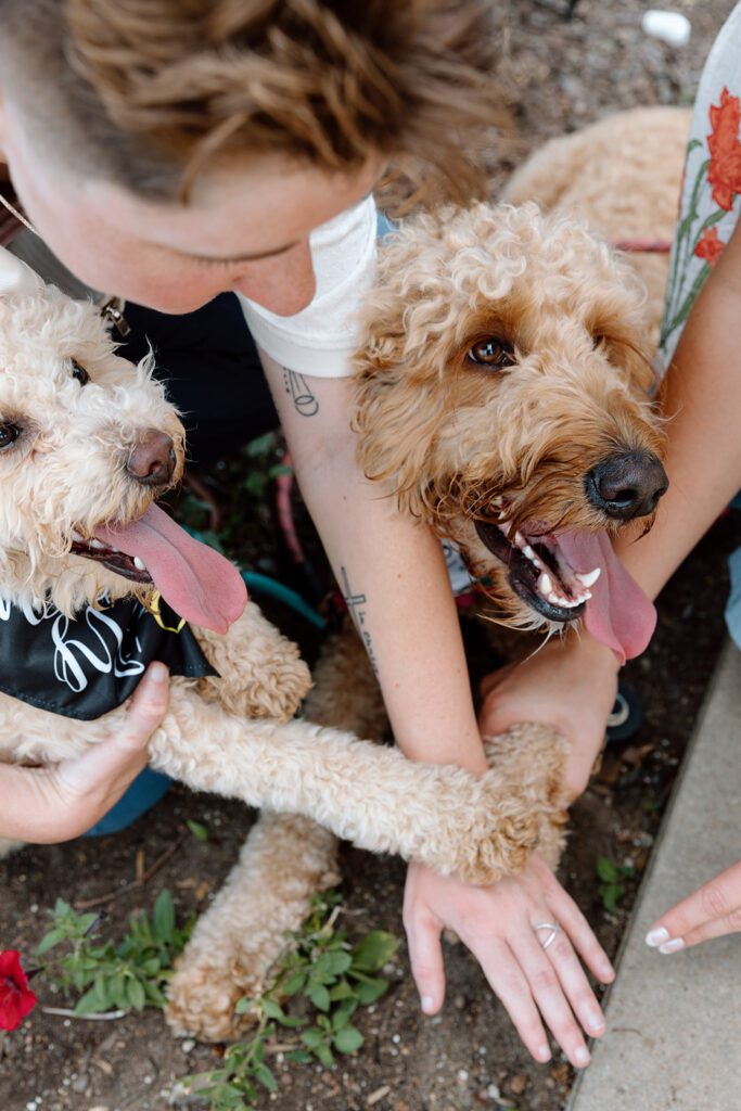 couple and dogs stretch out arms and paws at queer engagement at Tulsa Botanical Garden