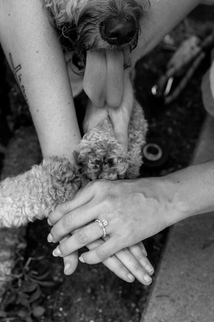 couple and dogs hands at queer engagement at Tulsa Botanical Garden