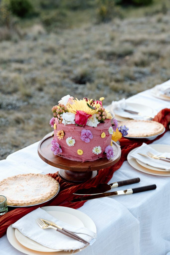 bridal cake and pies at camping reception in Colorado 